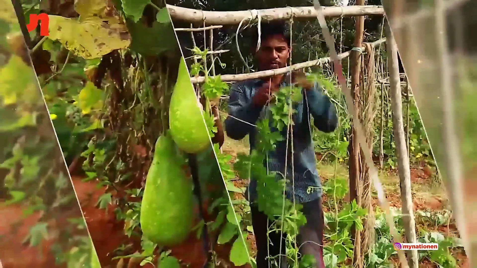 The Good Fight: Bengaluru residents ease burden in grave situation, ensure dignity for coronavirus victims