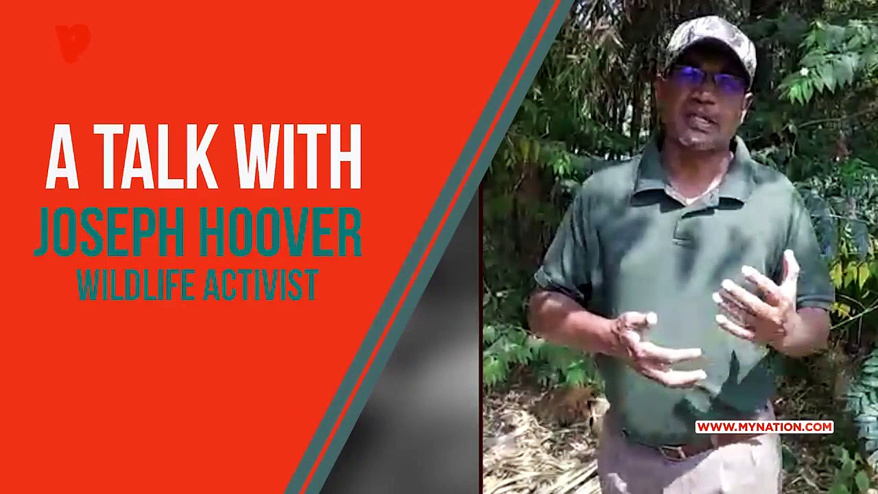 Bandipur fire man-made sabotage; can increase human-animal conflict