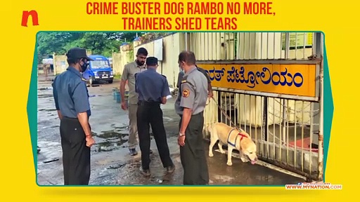 Karnataka: Trainers bid teary adieu to Kodagu’s crime buster dog Rambo