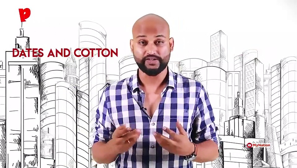 Let's Talk About Bharat: The Early Harappan Phase