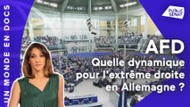 AFD : quelle dynamique pour l'extrême droite en Allemagne ?