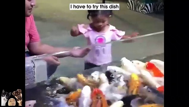 Funny Animal And Baby At The Zoo FUNNIEST AND CUTEST Babies & Animals - Pet Squad