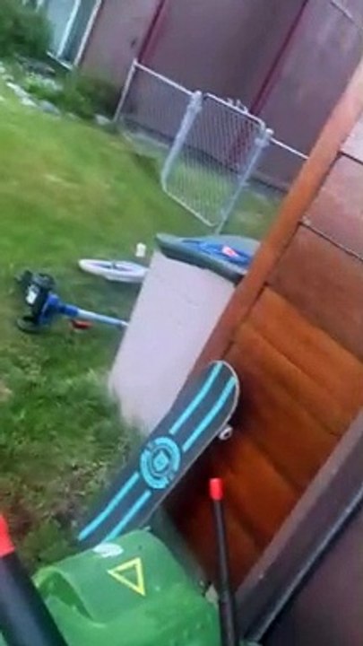 Black Bear Helps Itself to Garbage