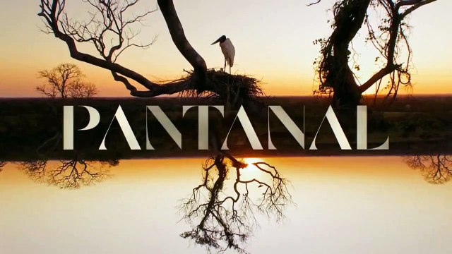 globo ao vivo agora novela pantanal ao vivo hoje jornal nacional ao vivo hoje globo no youtube ao vivo