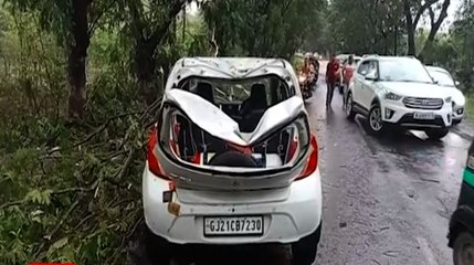 વલસાડઃ ધરમપુરમાં વૃક્ષ ધરાશાયી થતા કારનો બોલાઈ ગયો ભુક્કો, જુઓ આ વીડિયો