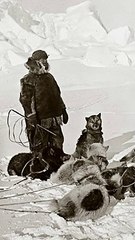 El Hombre que se Perdió en la Nieve - Biografia de roald Engelbregt Gravning Amundsen en 1 minuto