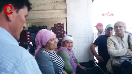 Kiraz üreticileri CHP'li vekile dert yandı