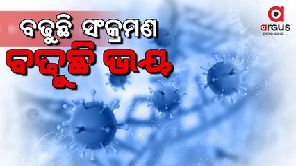 Rise in Daily Covid cases, terrifying people