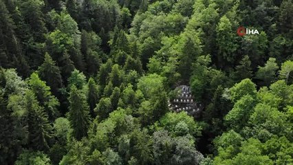 Asırlardır kayalar üzerinde bal üretiyorlarKayalar üzerine zor şartlarda ulaşarak yerleştirilen kovanlarda arıların ürettiği nadide ballar ilaç...