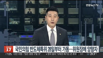 국민의힘 반도체특위 28일부터 가동…위원장에 양향자