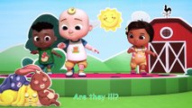 Hop Little Bunny Dance - Dance Party - CoComelon Nursery Rhymes & Kids Songs