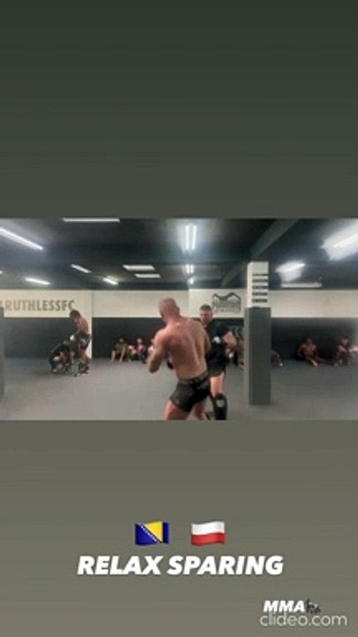 Stojnić vs Poljak