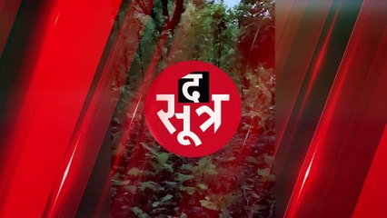 KORIYA: गेल्हापानी के जंगलों में घूमता दिखा सफेद भालू, वीडियो हुआ वायरल