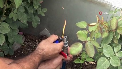 Hayvan gübresinden kendi gazını üretti