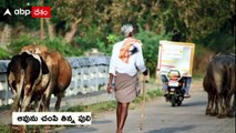 Viziyanagarm S Kota Tiger Pug marks : ఎస్ కోటలో ఆవును చంపిన పులి | ABP Desam