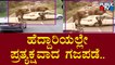 ವಾಹನಗಳನ್ನು ಅಡ್ಡಗಟ್ಟಿ ದಾಳಿ ನಡೆಸಿದ ಗಜಪಡೆ..! | Chamarajanagara | Elephants