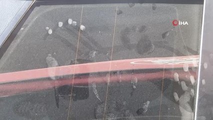 Spil Dağı Milli Parkı'nda ilk kez ayı görüldü