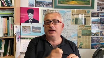 Son dakika haberleri | Uzmanlar Marmaris'teki Orman Yangınını Değerlendirdi: "Yangına Bu Yıl da Hazırlıklı Değiliz"
