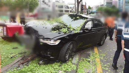 좌회전하던 승용차 가로수 등 충돌 / YTN