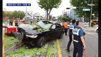 좌회전 하다 가로수 '쾅'…명문대 의대생이 불법 촬영