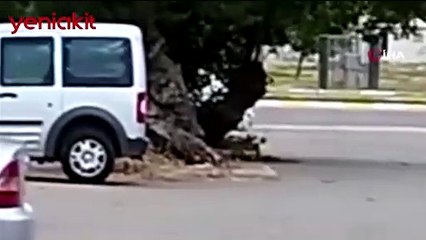 Toplu sünnetten kaçan çocuğu yakalamak için herkes seferber oldu