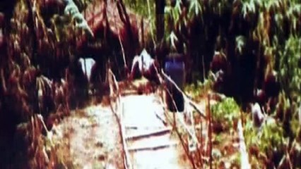 বিএনপি জামায়াতের স্বরূপ