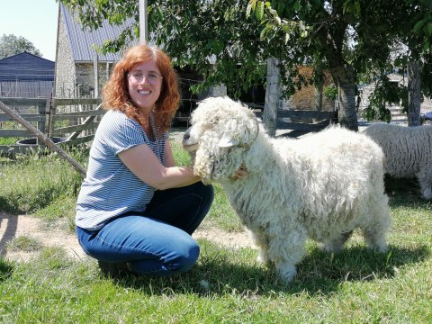 En Mayenne : au milieu de ses chèvres angoras, Emmanuelle Guiho réalise son rêve de petite fille