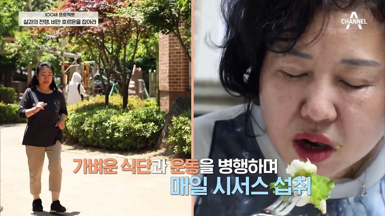 체중 감량 뿐만 아니라 혈관 건강에도 도움을 주는 시서스 추출물
