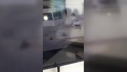 Otomobilin kediyi ezmesi güvenlik kamerasına yansıdı