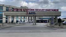 Son dakika haberleri | Arıların saldırısına uğrayan kişi hastaneye kaldırıldı