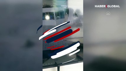 Otomobiliyle bir kediyi ezerek öldüren şahıs hakkında adli işlem başlatıldı! O anlar kamerada