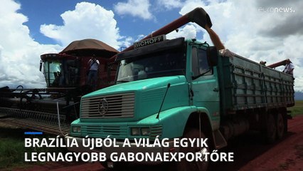 Brazília újból a világ egyik legnagyobb gabonaexportőre lehet