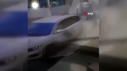 Vicdansız sürücü göz göre göre kedileri ezdi