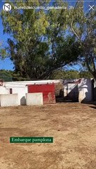 Embarque de los toros de Núñez del Cuvillo hacia Pamplona