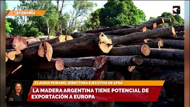 La guerra y el medio ambiente abren oportunidades a la madera argentina