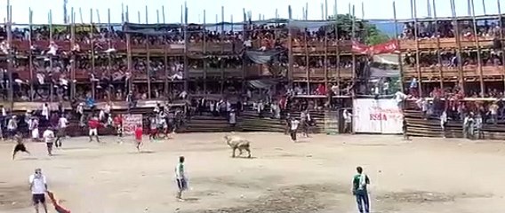 Download Video: Al menos 4 muertos y decenas de heridos por derrumbe en plaza de toros en colombia