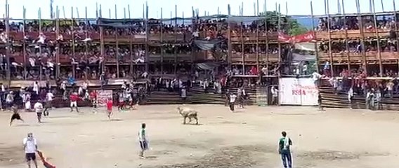 Al menos 4 muertos y decenas de heridos por derrumbe en plaza de toros en colombia