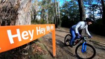 Community divided over Yarra Ranges mountain bike park