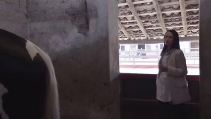 La Herencia Capitulo 65 Juan salva a Sara de un terrible accidente