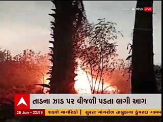 ગોધરાઃ ઝાડ પર વીજળી પડતા ભભૂકી ઉઠી આગ, જુઓ આ વીડિયો