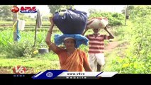 Small Story Of Women Farmer Amruthamma, Earns Profit In Multi Greens Farming _ V6 Weekend Teenmaar