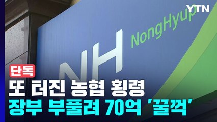 [단독] 또 터진 농협 횡령...장부 부풀려 이번엔 70억 '꿀꺽' / YTN