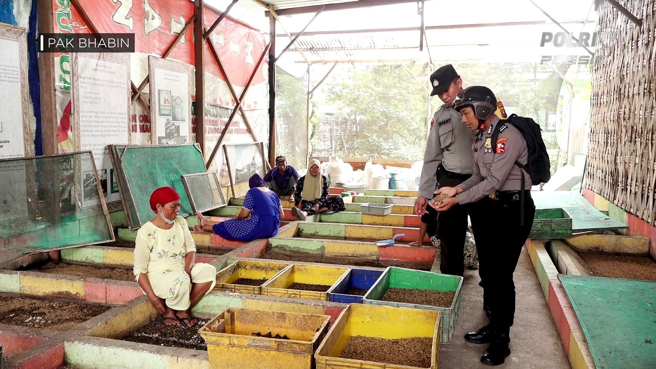 PAK BHABIN: Mengolah Sampah Menjadi Maggot Yang Bernilai Ekonomi