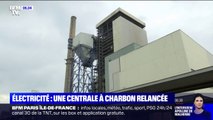 Trois mois après sa fermeture, la centrale à charbon de Saint-Avold en Moselle rouvrira l'hiver prochain