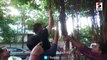 રાજ્ય ગૃહમંત્રી હર્ષ સંઘવીએ મોર્નિંગ વોકમાં ઝાડની ડાળી પર હિંચકા ખાધા