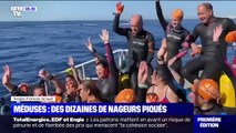 À Marseille, des dizaines de nageurs du Défi Monte-Cristo piqués par des méduses