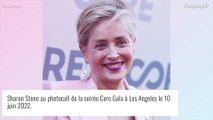 Sharon Stone : victime de nombreuses fausses couches, elle livre un témoignage poignant