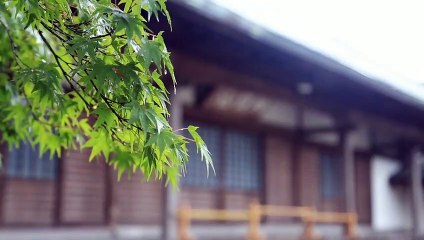 Relaksasi hujan di siang hari.