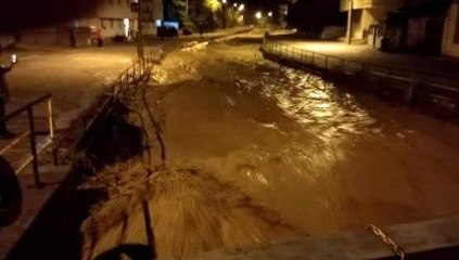 Son dakika haberleri! Taşan dereler sebebiyle sel nöbeti tutuluyor
