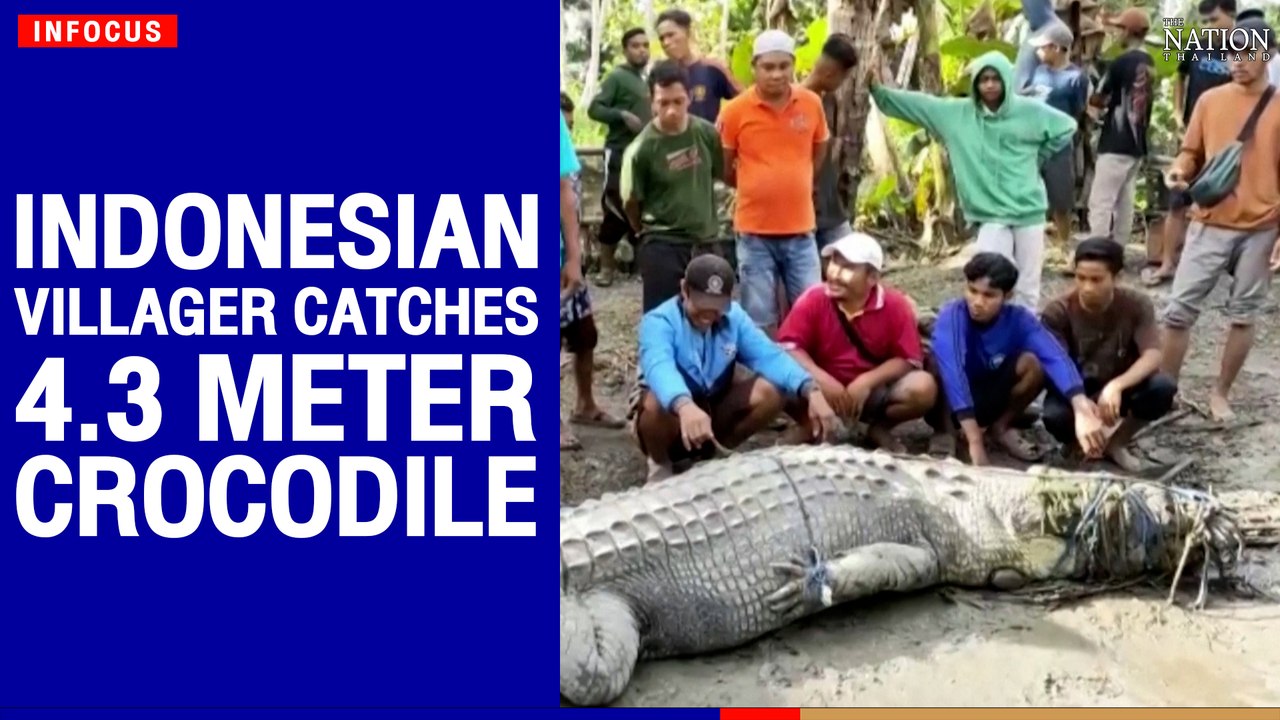 catches 4.3 meter crocodile using a rope | The Nation